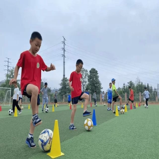 赛季走势解析与体育赛事未来前景展望